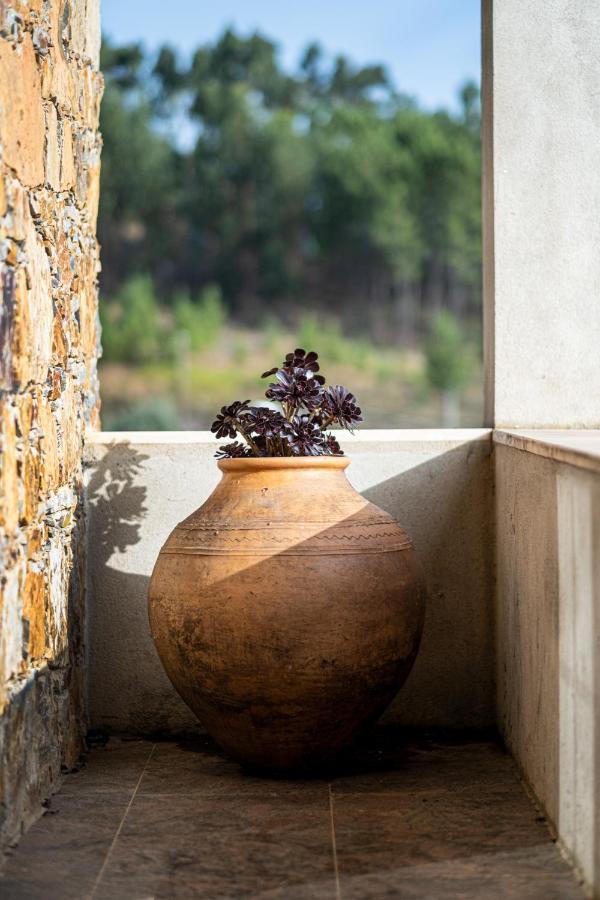 Quinta Da Palhota Villa วิลาดิเร ภายนอก รูปภาพ